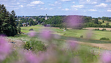 Eine ländliche Landschaft mit grünen Wiesen und Feldern, umgeben von Bäumen. Im Hintergrund ist ein kleines Dorf mit einer Kirche sichtbar. Der Himmel ist blau mit vereinzelten Wolken und im Vordergrund sind verschwommene pinkfarbene Blumen.