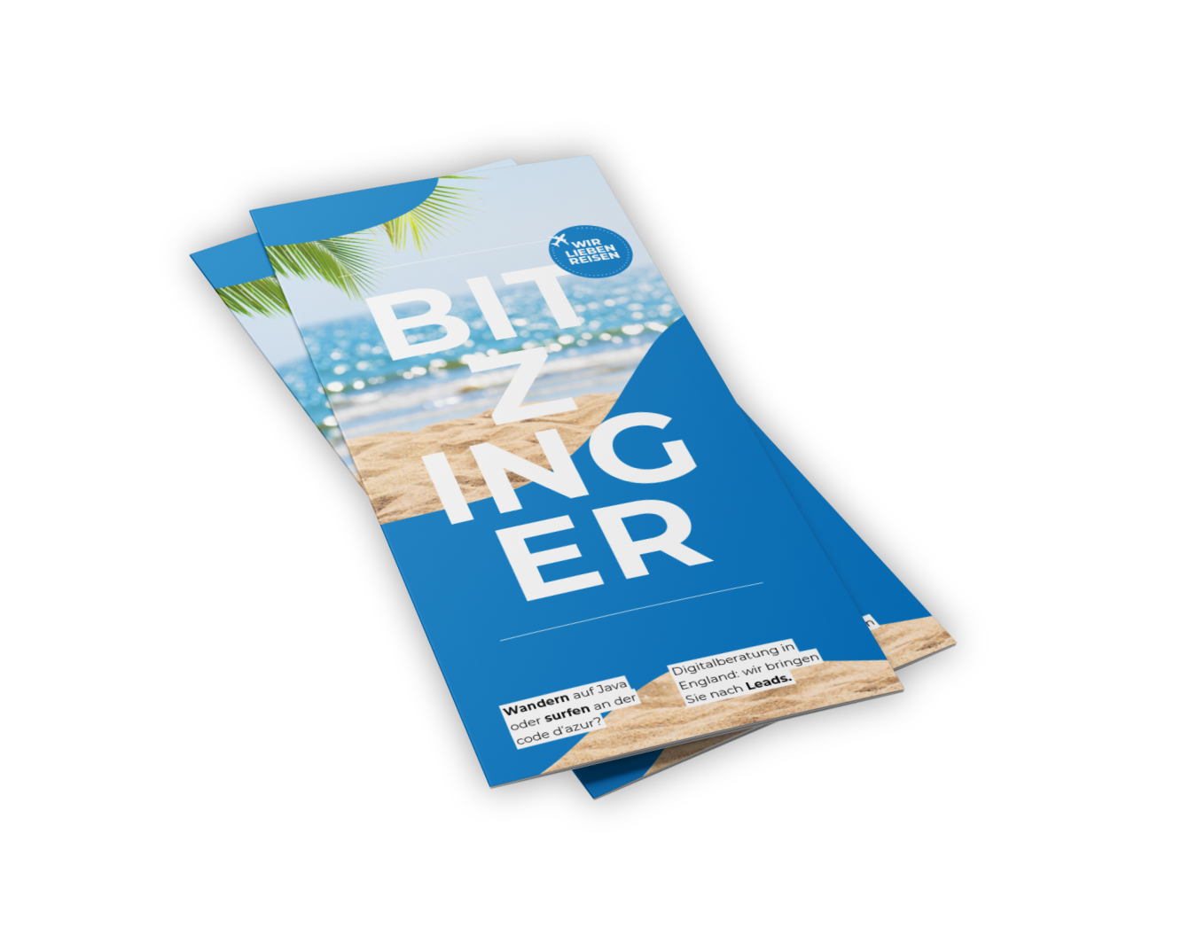 bitzinger Broschüre Bildddev
